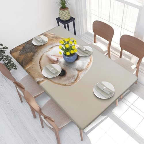 LAMAME Lustige Tischdecke mit Eulen-Druck, elastische Kanten, Schreibtischschutz für 122 cm große Tische