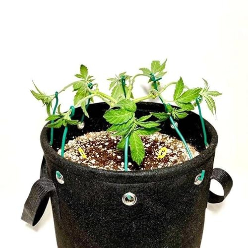 Generisch Grow Set 3X 11 Liter Low Stress Training Cannabis Textil Blumen Topf und 25x Pflanzenbinder