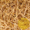 Kayqbonke 250g Raffia Virutas de Papel para Relleno, Shredded Paper Filling Amarillo-Marrón y Dorado, Tira Papel Relleno para Cajas Regalos, Papel Triturado para Paquetes, Cestas de Cestas