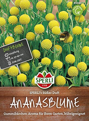 Sperli Ananasblumensamen SPERLI's Süßer Duft 85043 - duftend - Nützlingsfreundlich - 30-40cm - fruchtig- intensiver Gummibärchen Duft - Saatgut, Blumenwiese