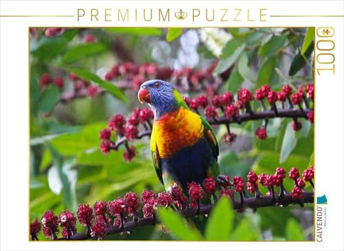 CALVENDO Puzzle Allfarblori - Sunshine Coast - Queensland | 1000 Teile Lege-Größe 64 x 48 cm Foto-Puzzle für glückliche Stunden
