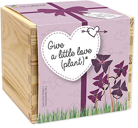 Feel Green - WE CREATE NATURE ecobox, Herzblattklee Give a little love (plant), Pflanzen Aus Der Holzbox 11x11x10cm, Made in Austria, Nachhaltige Geschenkidee, Grow Your Own/Anzuchtset