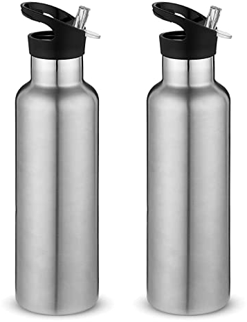 Volhoply 750ml Insulated Water Bottles Bulk 2 Pack,Stainless Steel Double Wall Sport Bottle with Straw Lid,Metal Reusable Cup with Hand Cap for School,Cyclists,Hikers,Gift (Silver, 2)