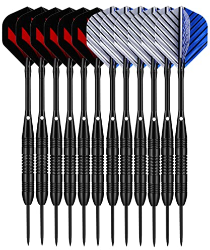LARRITS Dartpfeile mit Metallspitze 12 Stück 23G Steeldarts Set mit Aluminiumschäften 24 Stück Dart Flights 50 Gummi O-Ringe Dart Sharpener Dart Flight Protector(12 Stück 23g)