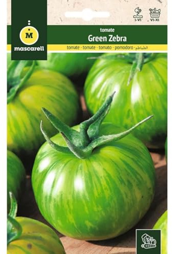 Mascarell Graines, tomates, graines potager, tomate green zèbre, créez votre propre potager urbain et culture à la maison, plantes horticoles, 0,1 g