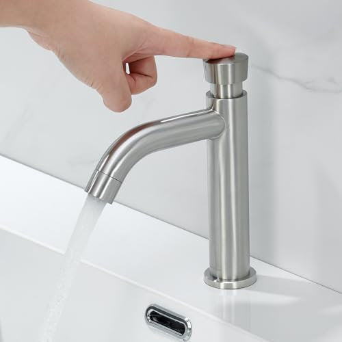 BuntHaus Robinet Lavabo Eau Froide - Robinetterie Salle de Bain en Acier Inoxydable, Interrupteur à Pression ABS, Design Moderne Argent Brossé