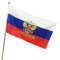 MRSTORY Bandiera Nazionale Russa Colorful Polyester Banner Resistente Ai Raggi per la Scuola per Uffici di Decorazioni per la Casa 90 * 150 Cm