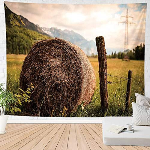 Daesar Tapisserie Deco Chambre, Tapis Mural Salon Panier de Paille Grande Serviette Plage 95x73CM Multicolore Couverture Lit Polyester