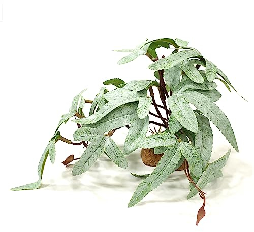 Woyrise Reptilienpflanzen für Terrarium Dekor, Amphibien Habitat Dekor, Künstliche Pflanzen für Gecko Chamäleon Frosch Schlange Schildkröte Tank Zubehör mit Basis - Selliguea