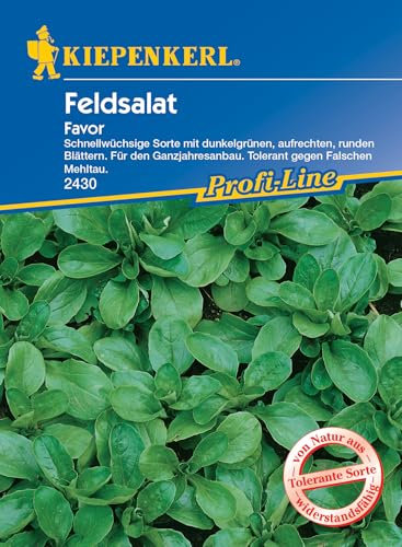 Kiepenkerl Profi-Line Feldsalatsamen Favor 2430 - Schnellwüchsig - Tolerant - Inhalt für 5 lfd. Meter - Ganzjahresanbau - Salatpflanzen - Saatgut