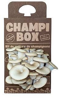 Kit de Culture de Champignons Bio Champibox - Pleurotes Made in France - Écologique, Gourmand et Éducatif - Idée Cadeau Originale et Naturelle pour Tous - Certifié BIO et Facile à Utiliser