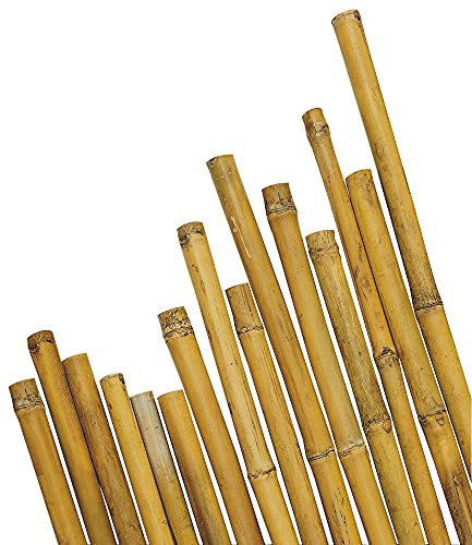 VERDELOOK Canna in Bamboo thailandese altezza 180 cm, colore naturale, sostegno piante, diametro 20/22 mm