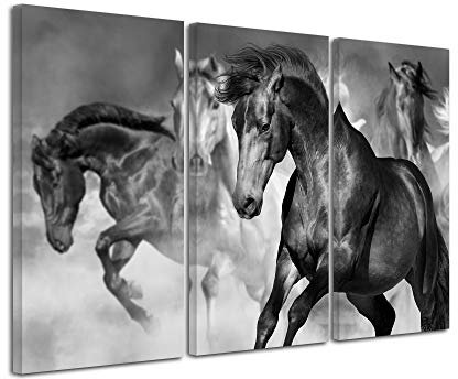 DECLINA Tableau Animaux, Impression sur Toile, Tableau décoration Murale, Tableau imprimé, Tableau décoratif Chevaux 90x60 cm