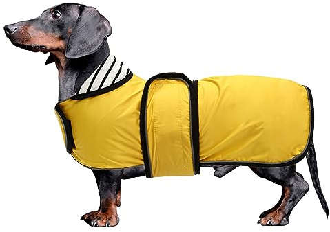 Morezi Dachshund coat miniature dachshund coats fit for dachshunds sausage dog rain coat with reflective stripe adjustable bands in autumn winter - Yellow - L
