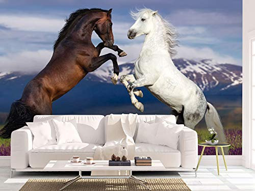 Oedim Fotomural Vinilo Para Pared Caballos Marrón y Blanco | Mural | Fotomural Vinilo Decorativo | 200 x 150 cm | Decoración comedores, salones, habitaciones