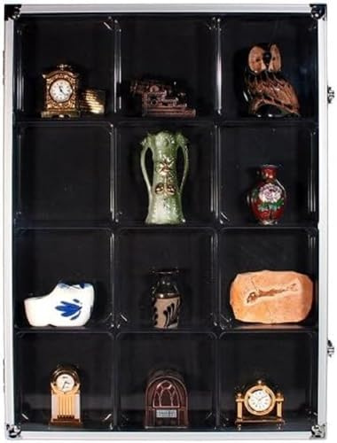 Sammelvitrine mit 12 Fächern: Format ca. 395 x 300 x 45 mm
