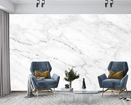 XAONUO Marbre Papier Peint Intissé Gris Texture Marbre 400X280Cm Papier Peint Effet 3D Papier Peint Intissé Tapisserie Murales Panoramique 3D Peinture Murale Non-Tissé