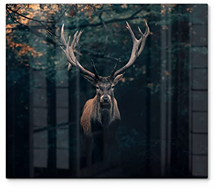 DEQORI Herdabdeckplatte Glas | einteilig 60x52 cm | Motiv Elch im Teutoburger Wald | Ceranfeld Abdeckplatte für Küche | Herd-Abdeckung universal | Glasplatte & Schneidebrett für Kochplatten
