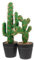 AOKWAWALIY Lot de 2 faux cactus de fleurs - Imitation maison - Cactus - Faux cactus - Pour bureau à domicile - Mini plantes de cactus artificielles miniatures - En plastique