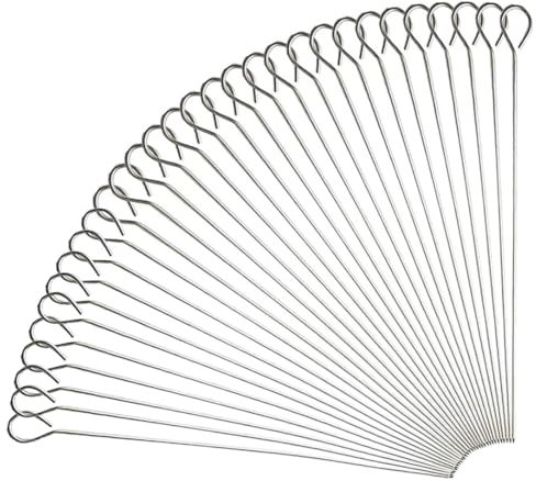 30 PCS Food-Grade Kebab Turkey Lacers, Metal Skewer for Oven Halloween Christmas Party Turkey, Stainless Steel Reusable Skewers BBQ Metal Skewers for Air Fryer