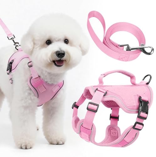 Ledeak Hundegeschirr mit Leine Set, Anti Zug Reflektierend Atmungsaktiv Geschirr, Sicherheitsgeschirr Hund Ausbruchsicher, Verstellbar Brustgeschirr für Kleine, Mittelgroße Hunde und Welpen (Rosa, XS)