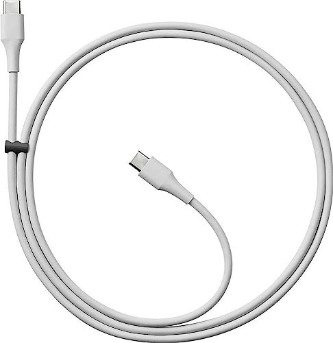 Google Câble USB-C vers USB-C (1,8 mètre) - Gris
