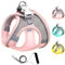 Mitili Mehrzweck Hundegeschirr mit Leine Set, Anti Zug Geschirr, Reflektierend Weich Gepolstert Hunde Geschirr, Air-Mesh Brustgeschirr für Kleine Mittlere Hunde, Haustiere, Katzen (Frisches Rosa, S)