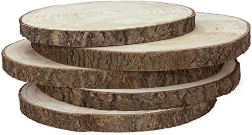 Tagliere Tronco Albero in Legno Naturale Diametro 20/24/30 cm h.3 cm pedana Pallet Vassoio Centrotavola Presentazione Aperitivo Salumi Bar Pub Ristorante (24 cm)