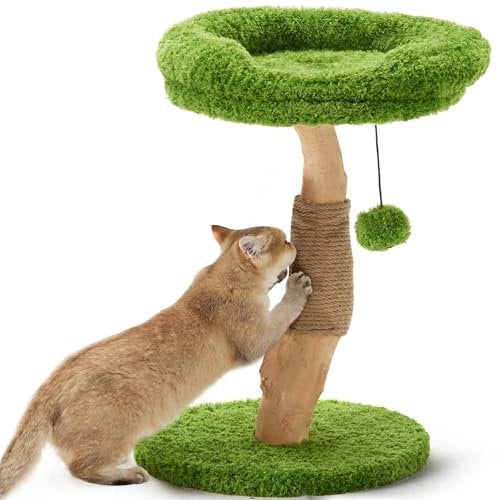 FUKUMARU Rascador para Gatos, Árbol para Gatos de 51 cm de Madera Sólida Única, con Pilar de Yute y Área de Descanso Cómoda, para Gatos Pequeños y Grandes hasta 3.3 kg.