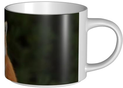 FZGGWYHL Tasse à café en céramique avec motif renard amusant