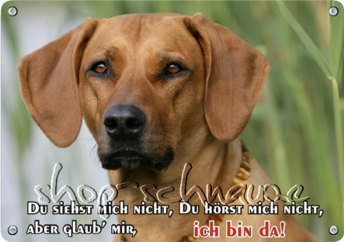 Petsigns Hundeschild - Rhodesian Ridgeback - Metallschild in Fotoqualität, DIN A3