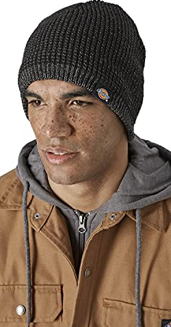 Dickies - Unisex Beanie, AWTReflect Winter Beanie, Waterproof, Black, One Size