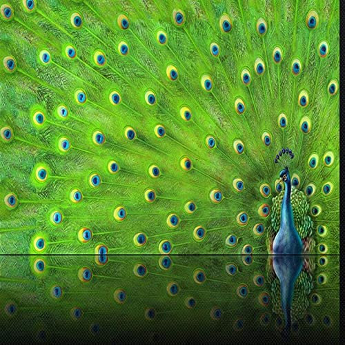 Kuletkear Peacock Wall Mural for Bedroom Wallpaper Animal Wall Decals Waterproof Self-Adhesive Large Modern Art Poster Paper for Livingroom Kids Room TV Background 826x589cm