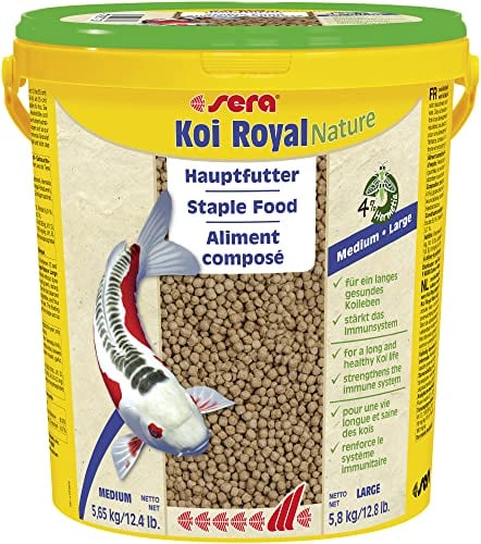 sera Koi Royal Medium 21L (5,65kg) | Hauptfutter für 12-25 cm Koi | frei von Farb- & Konservierungsstoffen | Omega-Fettsäuren & Mannan-Oligosaccharide | leicht verdaulich & wasserfreundlich