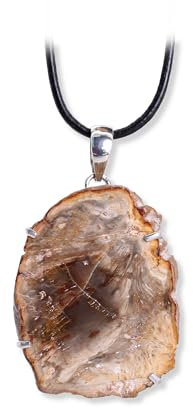 Budawi® Fossiles versteinertes Holz Anhänger Kettenanhänger 925er Silber