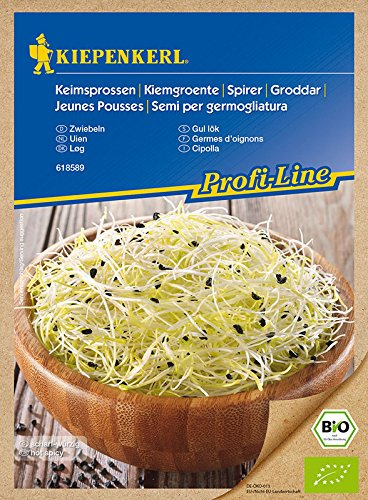 Bio Keimsprossen verschiedene Sorten Alfalfa Radies Brokkoli Weizen Rauke Linsen Zwiebel (Zwiebeln)