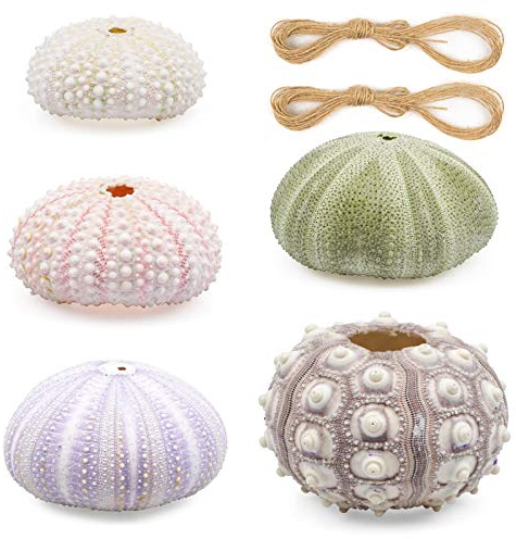 N/A ZUKEY 5 Pack Mini Sea Urchin Shell Hanging Pot- Decorative Hanging Air Plant Holder in 5 Styles Cute Tillandsia Succulent Display Container with Rustic Ropes