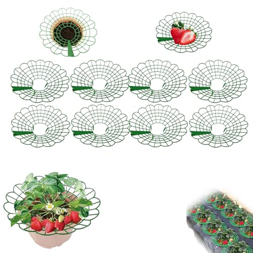 Erdbeeren Schutz Vögel,erdbeeren Schutz,erdbeerreifer,unterstützung Für Erdbeerpflanzen,schneckenkragen 20 Stück,erdbeerstützen,erdbeer-pflanzenschutz,schneckenschutz,erdbeerturm,erdbeerständer