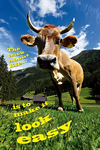 1art1 Kühe Poster Kuh Philosophie Kunstdruck Bild 180x120 cm