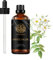 Aromatherapie Weißer Moschus Ätherisches Öl für Diffusor, 3,3oz 100% Reines Weißer Moschus Ätherisches Öl für die Kerzenherstellung,100ml Aromatherapie Ätherisches Öl Weißer Moschus für Lufterfrischer