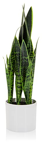 hjh OFFICE Kunstpflanze SANSEVIERIA mit Übertopf Höhe 65 cm Zimmerpflanze Bogenhanf künstlich, 871016