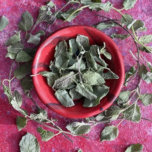 Edible Freeze Dried Strawberry Mint Leaves - 400ml - UK Grown - Certified Food Grade (522)