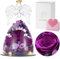 Emibele Rose Fresche con Statuetta d'Angelo in Vetro, Fiore di Rosa Eterna con Luci LED, Regalo per Donne/Mamma/Moglie/Nonna/Anniversario/San Valentino/Festa della Mamma, Viola