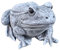 Stone and Style Steinfigur Frosch frostfest wetterfest Gartenfigur