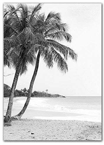 HERWS Art mural sur toile - Style nordique minimaliste - Impression sur toile - Palmier noir et blanc - Pour décoration de salon ou de maison (sans cadre)