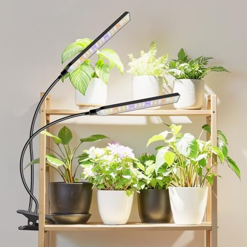 Aumtrly 2 Kopf 114 LED Pflanzenlampen, Vollspektrum Clip on Pflanzenlicht | Wachstumslampe schwarz mit 6/12/16h-Timer, 5 Helligkeitsstufen, 3 Farbmodi, Schwanenhals für Indoor-Pflanzenanbau
