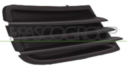 PRASCO PG3242113 Grille