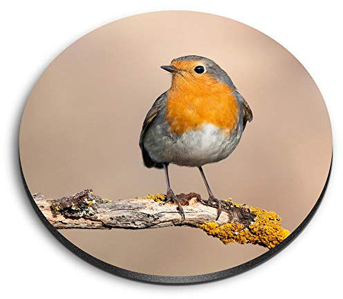 1 x Round MDF Magnet - Red Robin Bird Garden Cute 2062