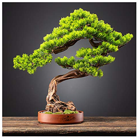 Künstlicher Bonsai-Baum Willkommen Kiefer Klippe Zypresse Simulation Bonsai Wohnzimmer Hotel Eingang Dekoration Ornamente Lila Sand Blumentopf Topfpflanzen Simulation Bonsai-Bäume (Farbe: C) Good
