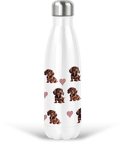 Dachshund Gift Water Bottle Stainless Steel Insulated Thermal (Light Coral Hearts) Drink for Her, Women, Birthday, Christmas 17oz/500ml